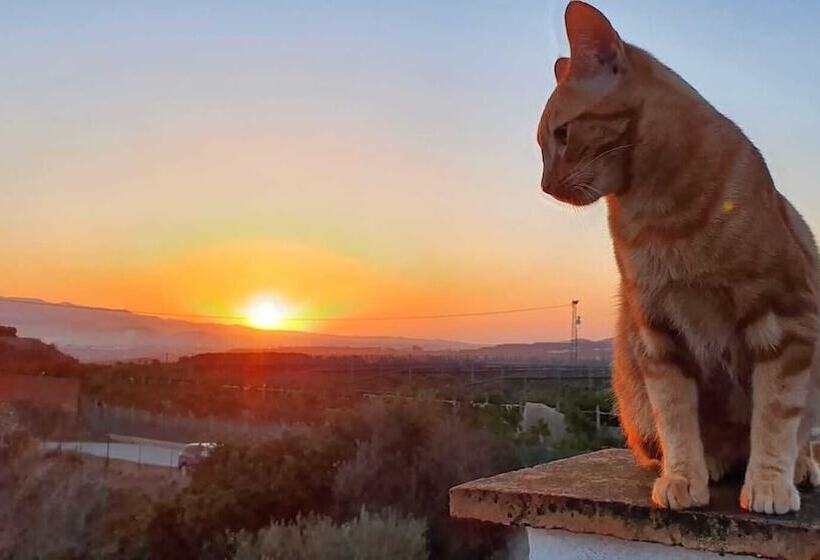 膳宿费 Casa Bambu Apartresort