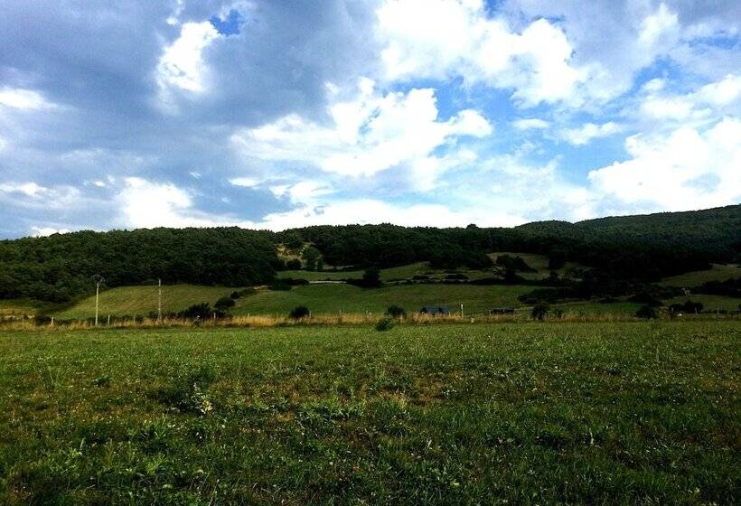 膳宿费 Casa Elita