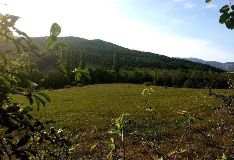 膳宿费 Casa Elita