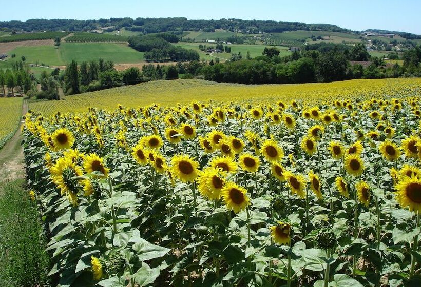 פנסיון La Maison De Maitre