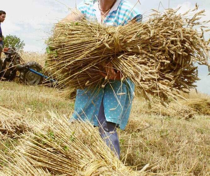 پانسیون Tourist Farm Strle With Great Local Food