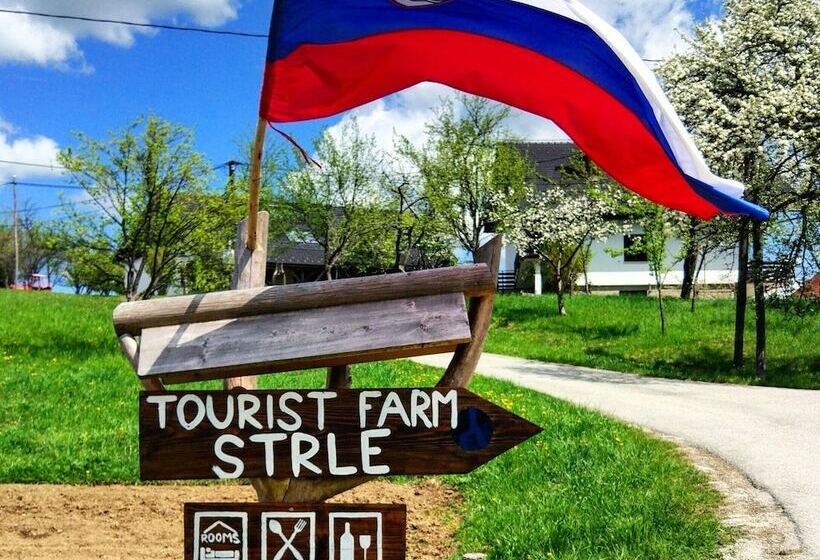 پانسیون Tourist Farm Strle With Great Local Food