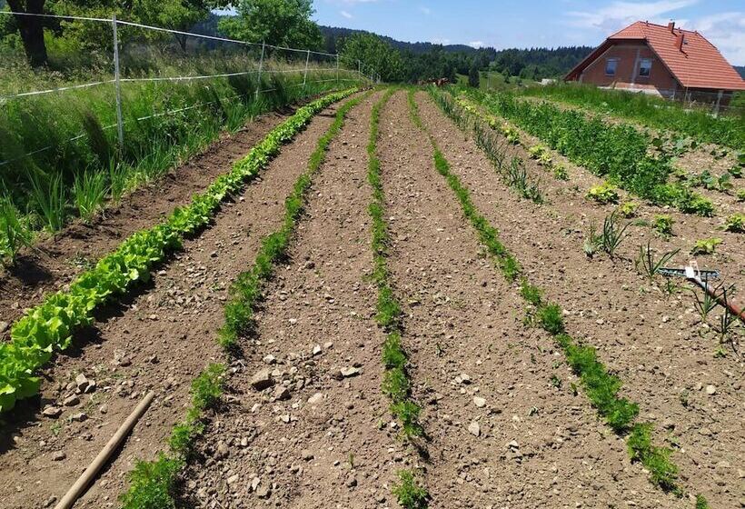 پانسیون Tourist Farm Strle With Great Local Food
