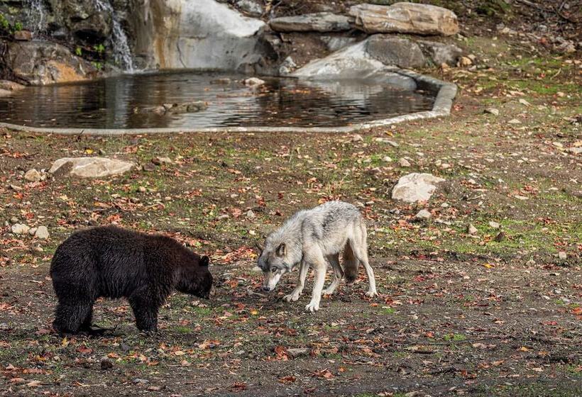 リゾートホテル Parc Omega