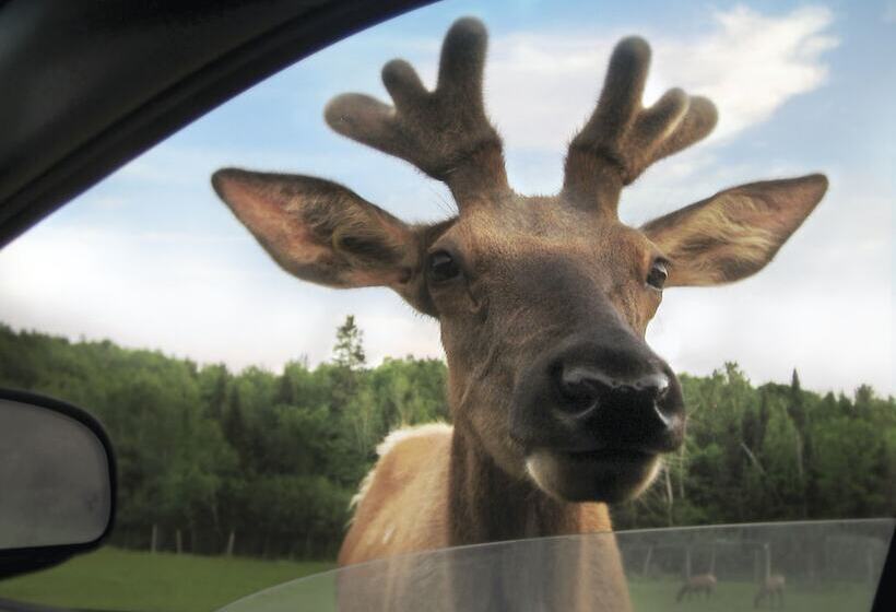 リゾートホテル Parc Omega
