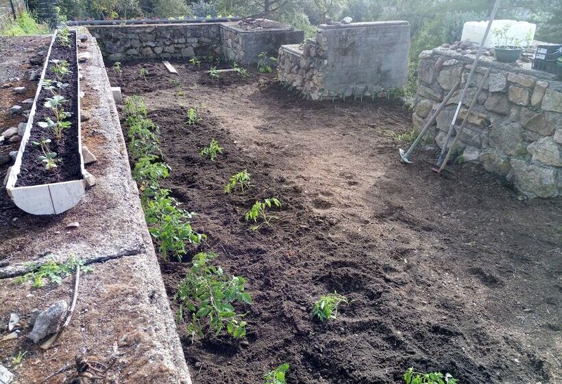 Bed and Breakfast Bergerie U Sialellu