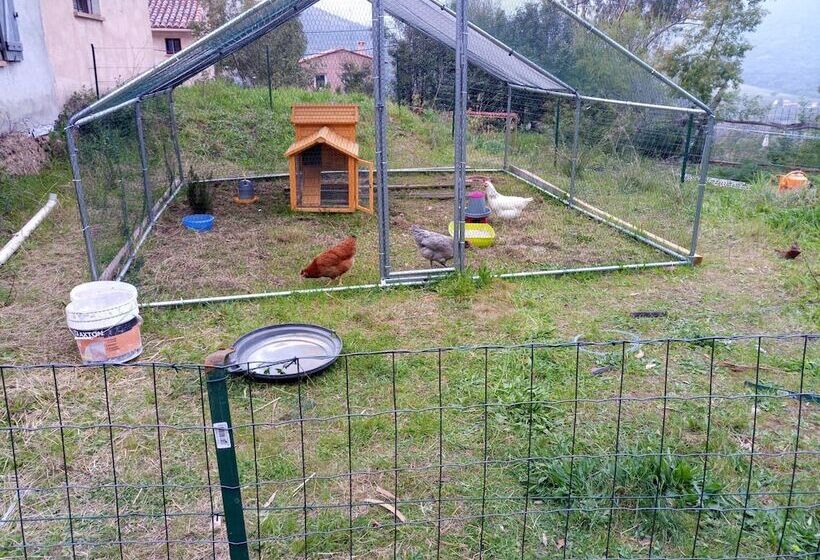 Bed and Breakfast Bergerie U Sialellu