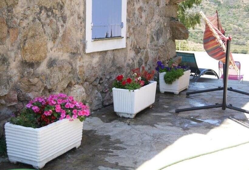 Bed and Breakfast Bergerie U Sialellu