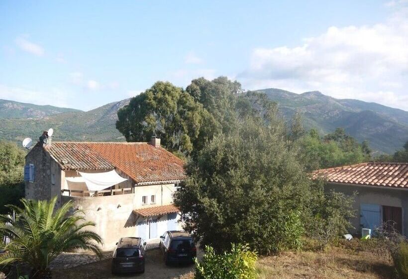 Bed and Breakfast Bergerie U Sialellu