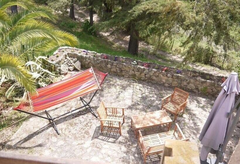 Bed and Breakfast Bergerie U Sialellu