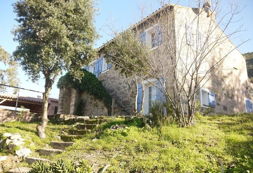 Bed and Breakfast Bergerie U Sialellu