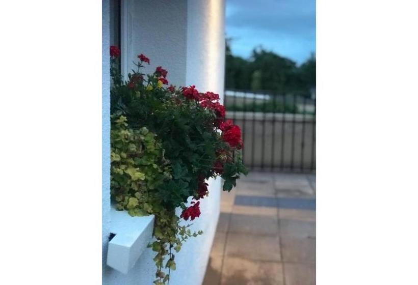 Отель The Linen House