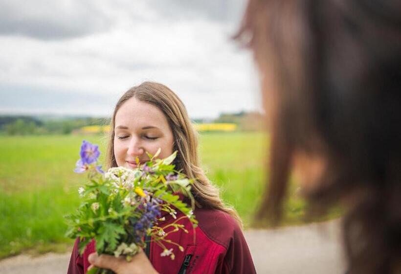 旅馆 Talstation Heumöderntal