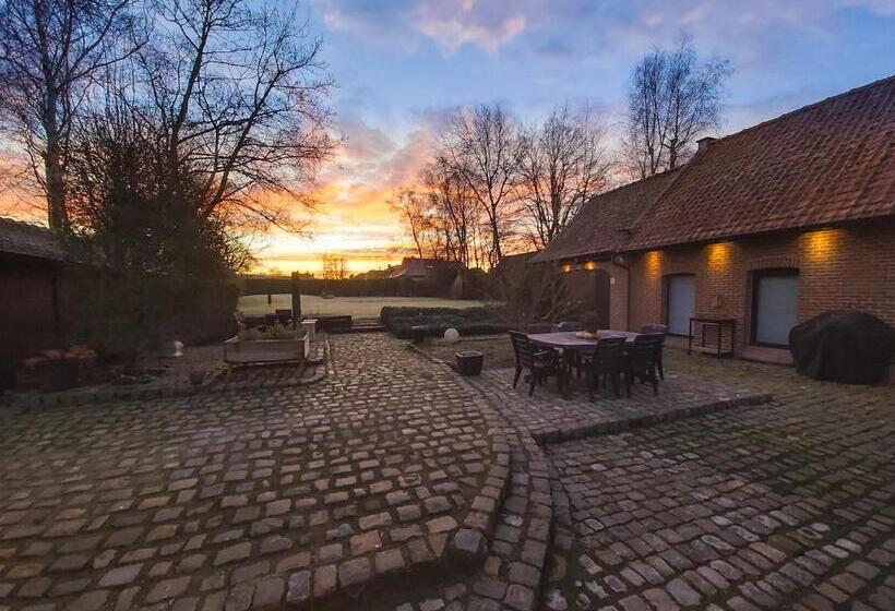 B&b Hof Ter Koningen