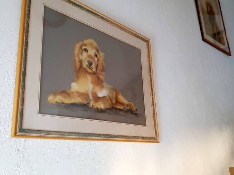 צימר Chambres D Hotes La Bonne étoile