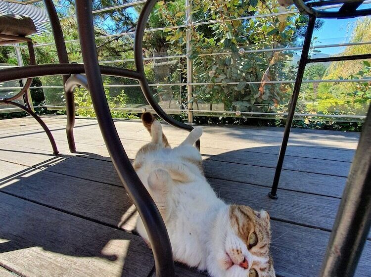 צימר Chambres D Hotes La Bonne étoile