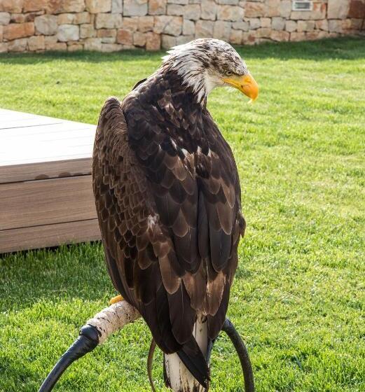 住宿加早餐  Estrela   Trullo Benessere Nel Centro Storico Di Alberobello