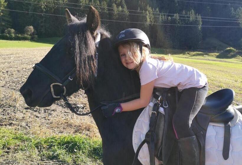 B&b Margit S Ranch Urlaub Am Pferdehof