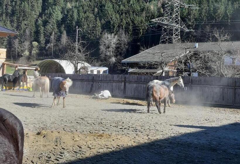 B&b Margit S Ranch Urlaub Am Pferdehof