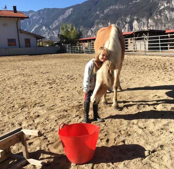 B&b Margit S Ranch Urlaub Am Pferdehof