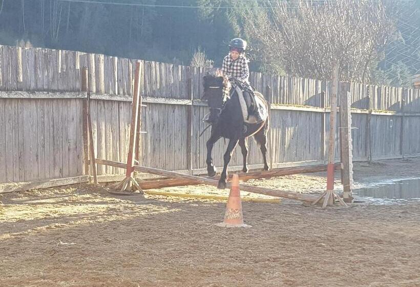 B&b Margit S Ranch Urlaub Am Pferdehof