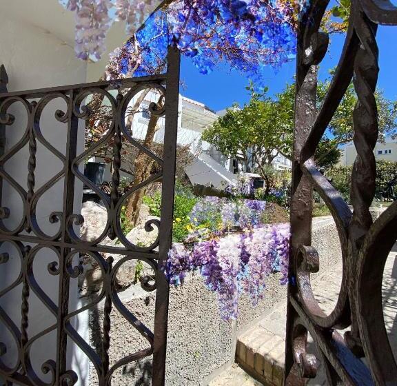 تختخواب و صبحانه Suites Edivino Design Capri