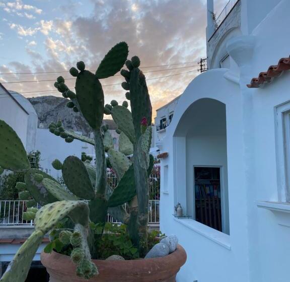 ベッドアンドブレックファースト Suites Edivino Design Capri