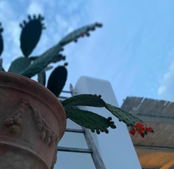 ベッドアンドブレックファースト Suites Edivino Design Capri