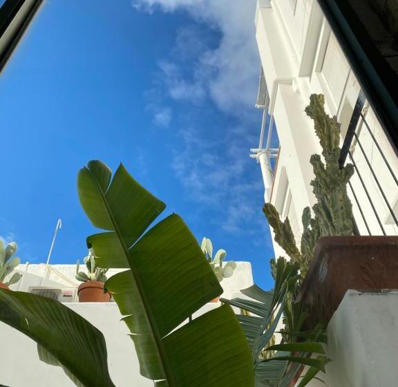 ベッドアンドブレックファースト Suites Edivino Design Capri