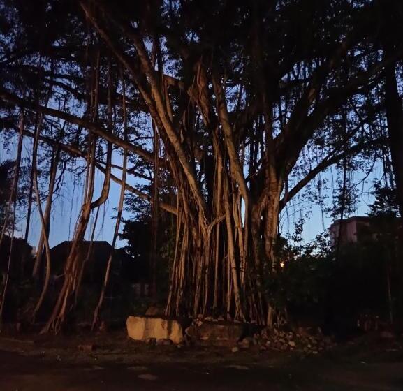 酒店 Ban Nam Mao Resort