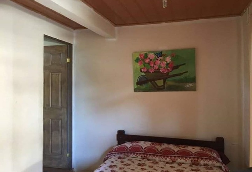 فندق Cabinas Bachelor