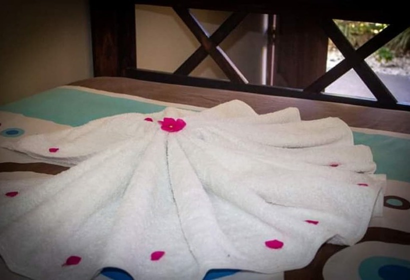 فندق Cabinas Bachelor