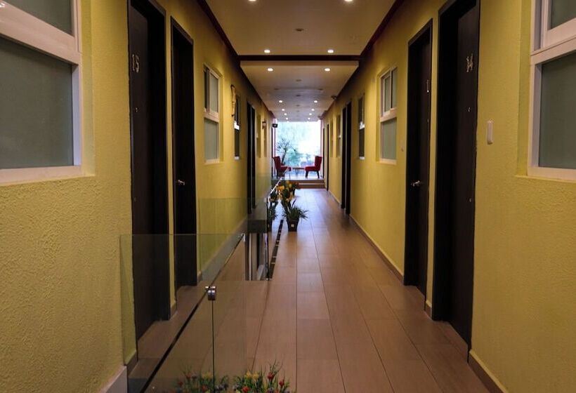 Отель Las Torres,tehuacan