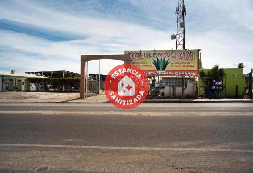 בית מלון כפרי Magueyaso