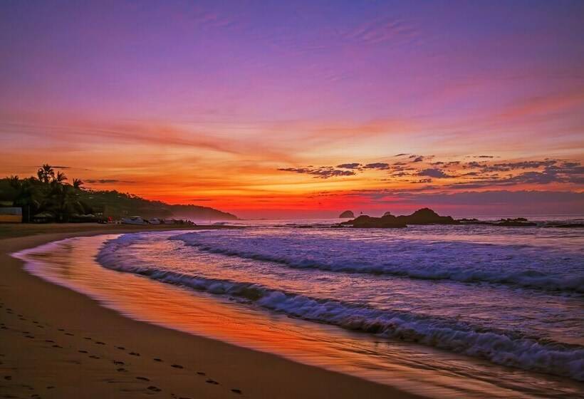 호텔 Posada Buda Tortuga