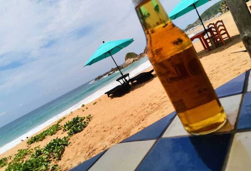 호텔 Posada Buda Tortuga