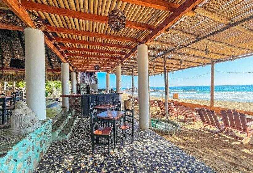 호텔 Posada Buda Tortuga