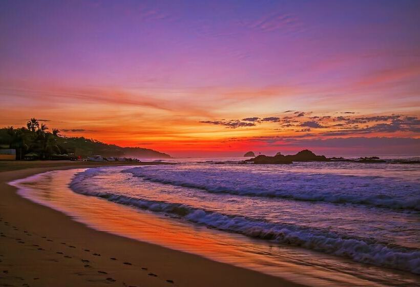 호텔 Posada Buda Tortuga