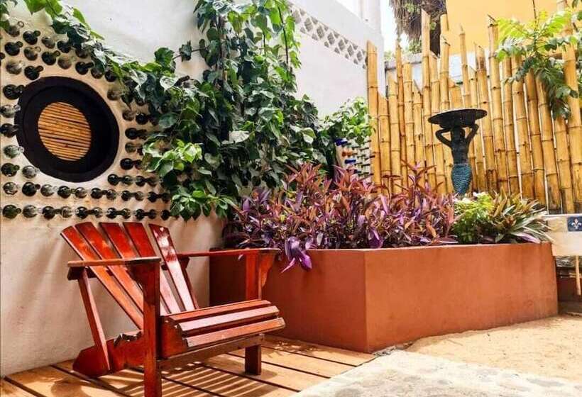 호텔 Posada Buda Tortuga