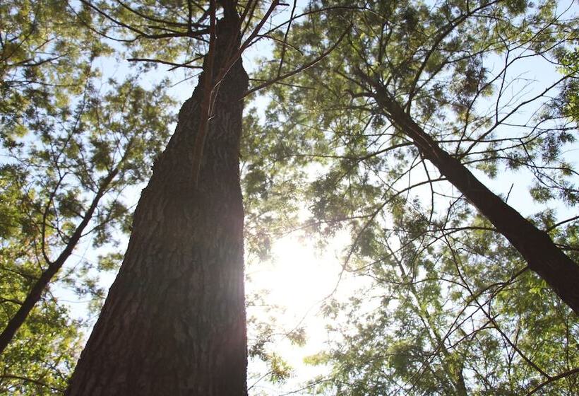 فندق Punarnava Resort & Spa