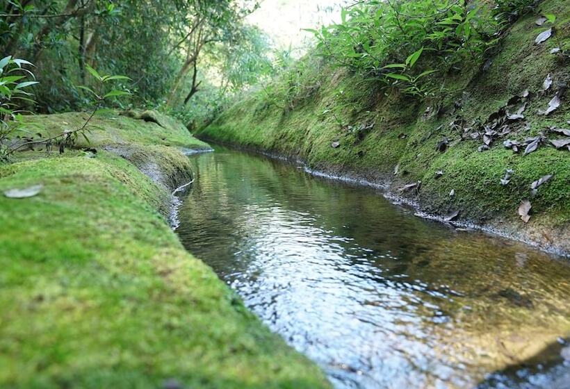 فندق Punarnava Resort & Spa