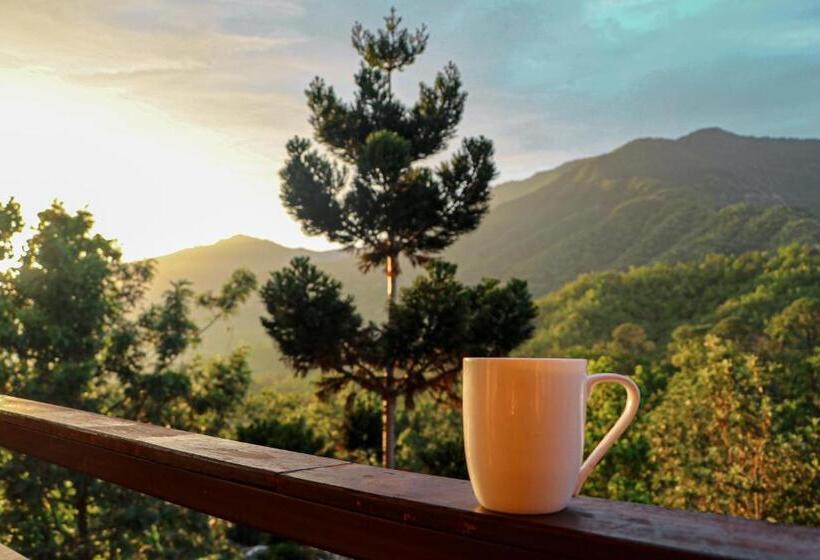 فندق Punarnava Resort & Spa