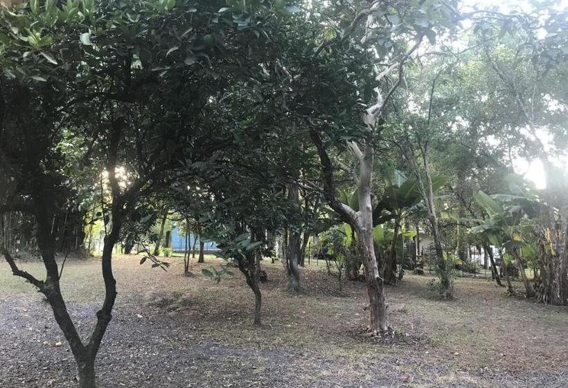 Отель Tunel Verde