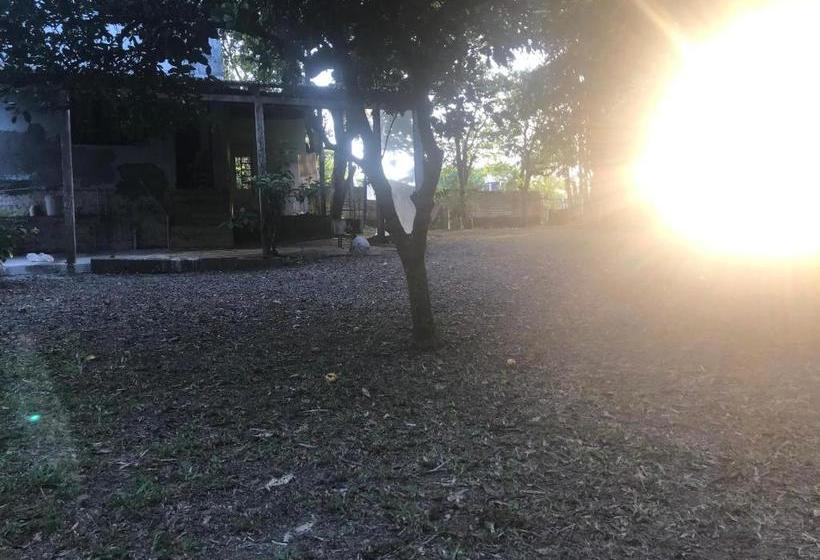 Отель Tunel Verde