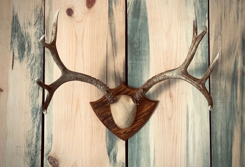 فندق على الطريق Outdoors Inn