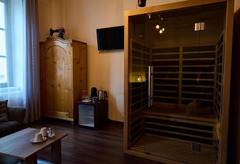 پانسیون Dům U Lázní