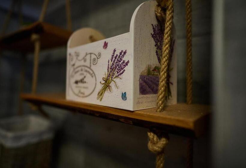 펜션 Dům U Lázní