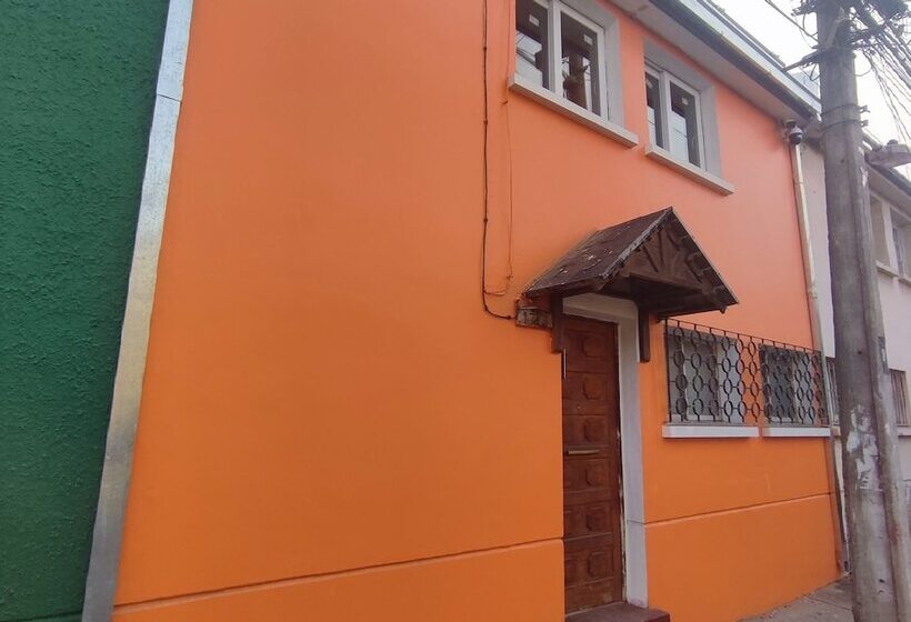 پانسیون Gatos De Campo Tiernos Y Traviesos