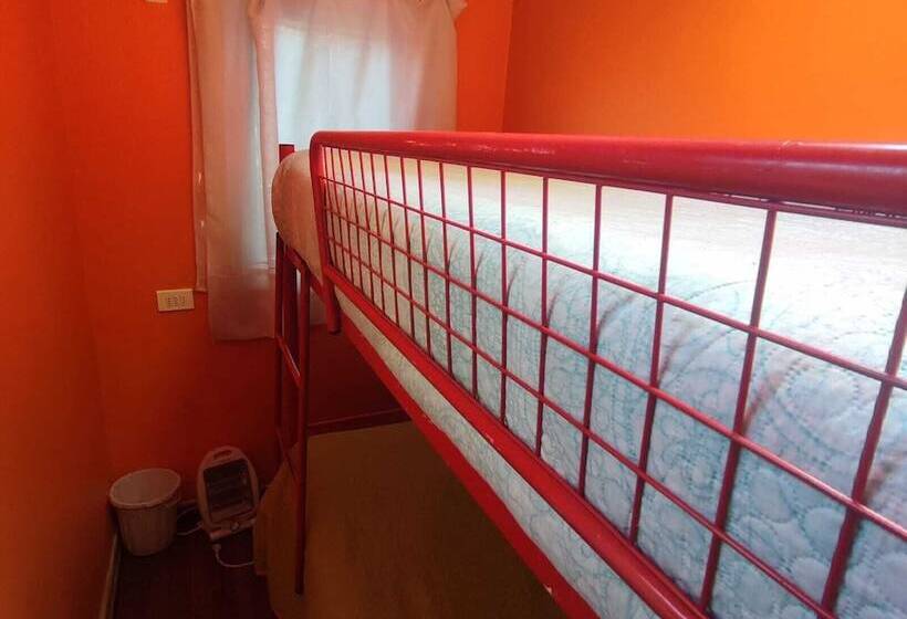 פנסיון Gatos De Campo Tiernos Y Traviesos