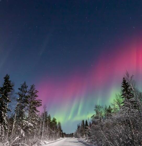 리조트 Old Pine Husky Lodge